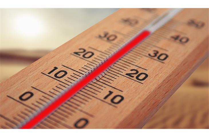constant temperature and humidity oven supplier
