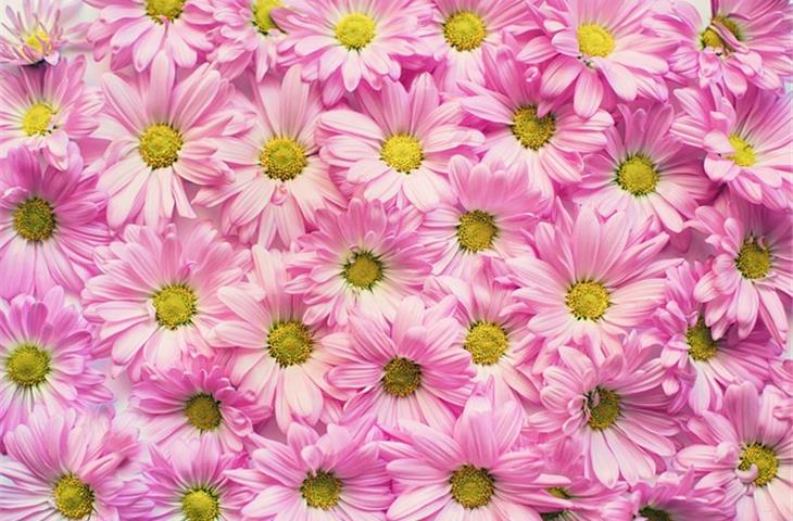 pink noise generator for audio testing