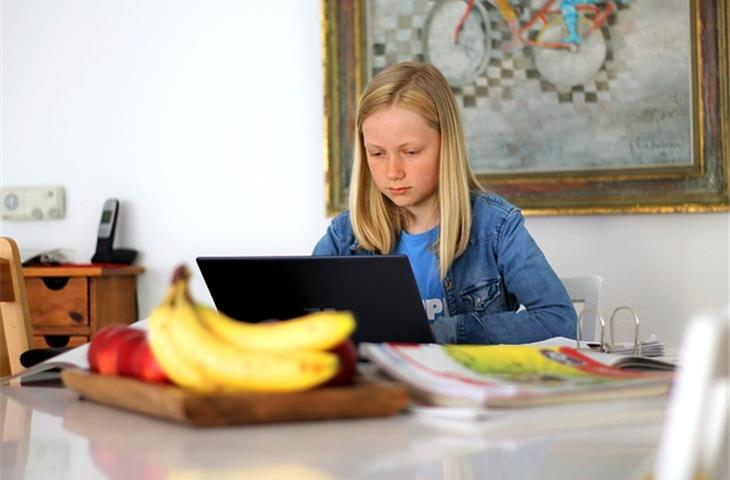 ul 1598 online
