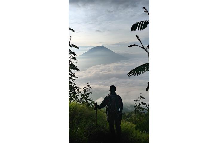 raysafe solo