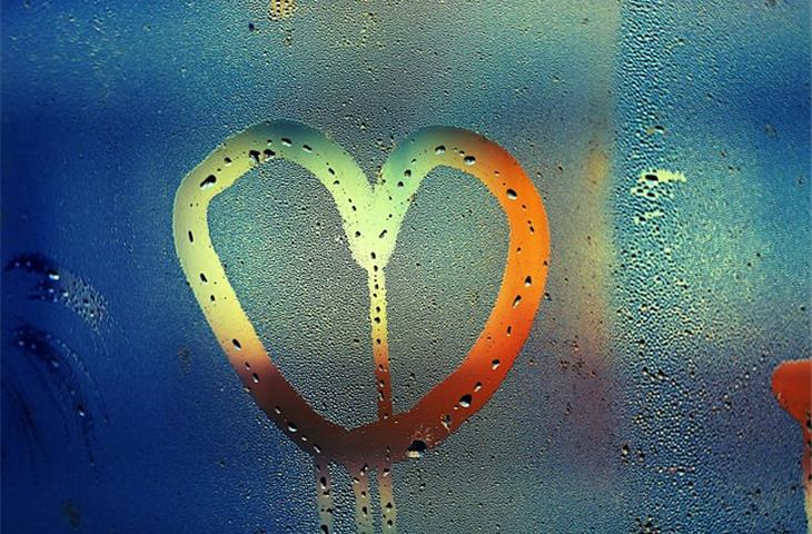 condensation checker