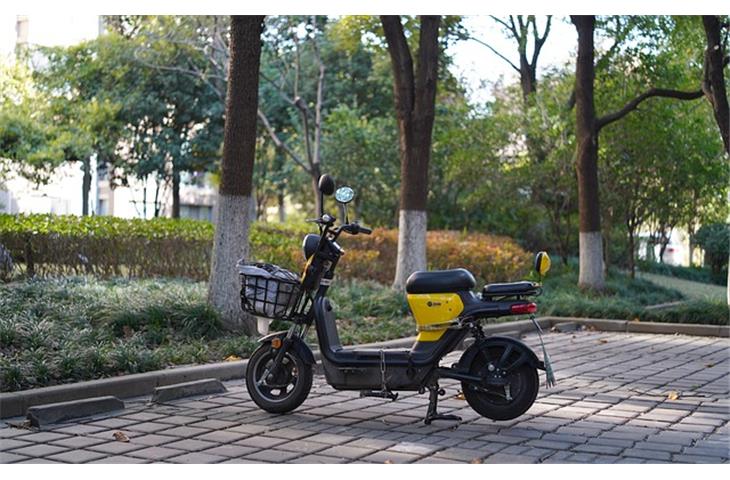 versatile electric motor dynamometer