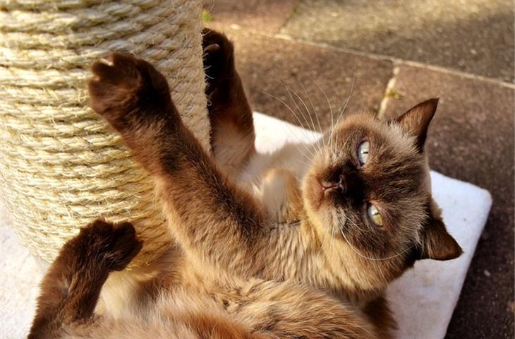 scratch resistance