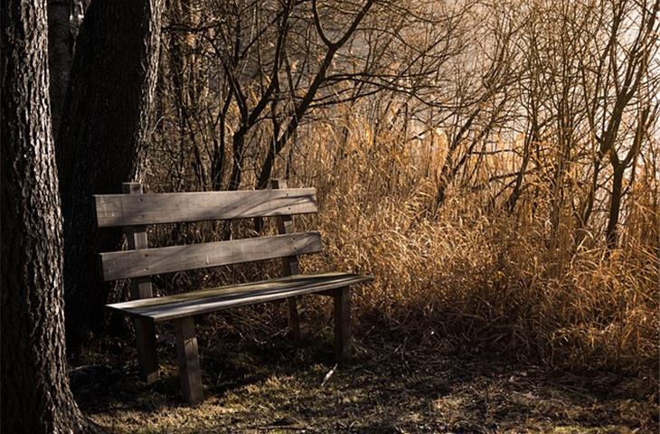 Test bench series
