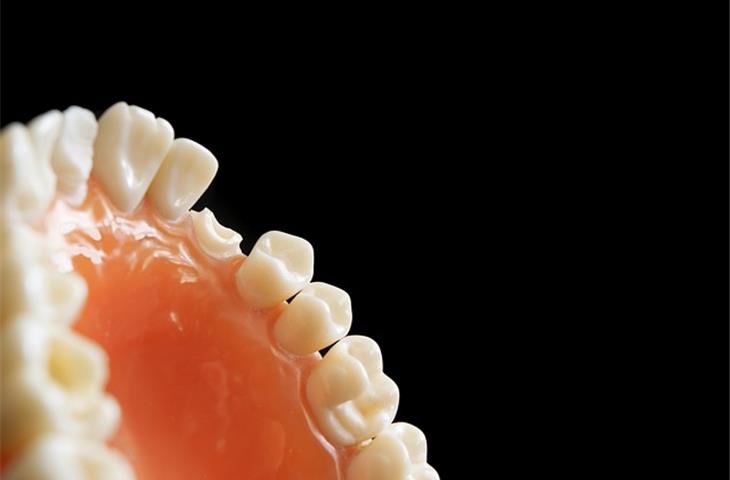 Tooth elevators