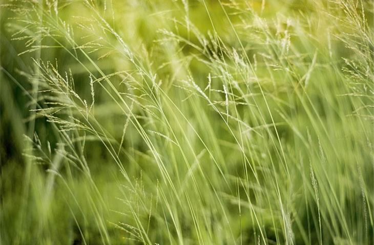 Environmental reliability