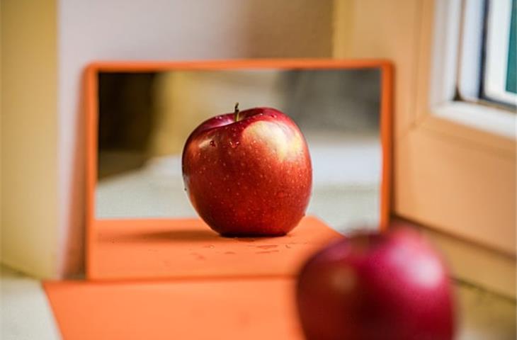 Mirror detection equipment