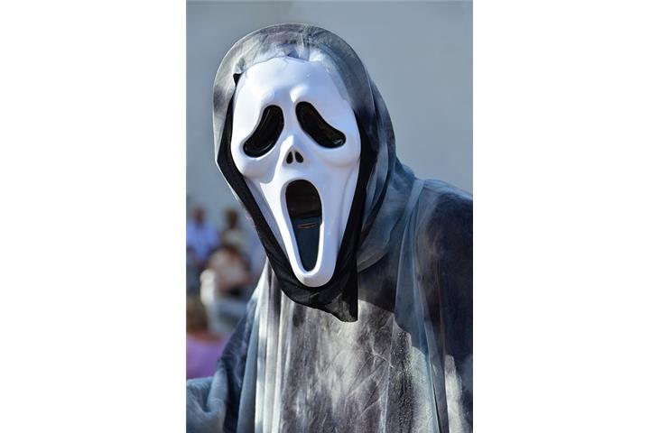 Ultrasound Phantom Series