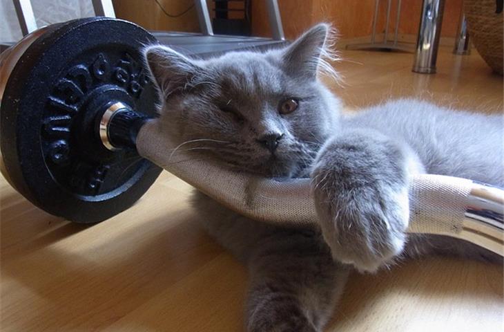 dumbbell prototype tester supplier