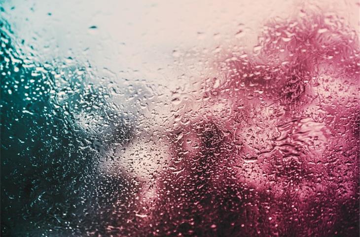 constant temperature and humidity chambers