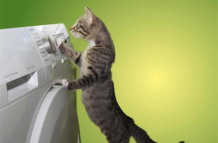 famous industrial dryer