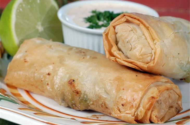 roll to roll uv coaters