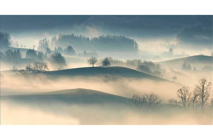 light transmittance fog instrument supplier
