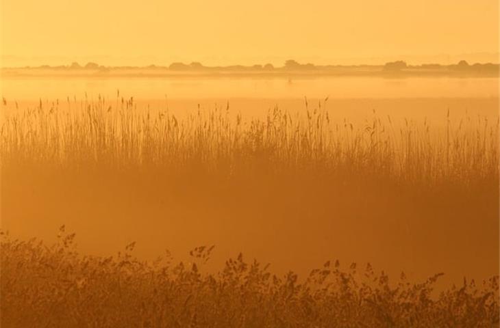light transmittance fog instrument supplier