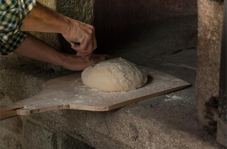 drying oven manufacturer