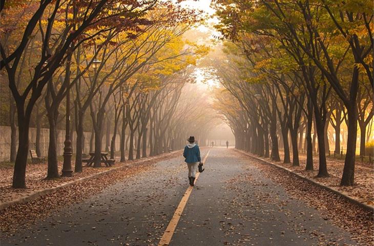 walk in climatic chamber