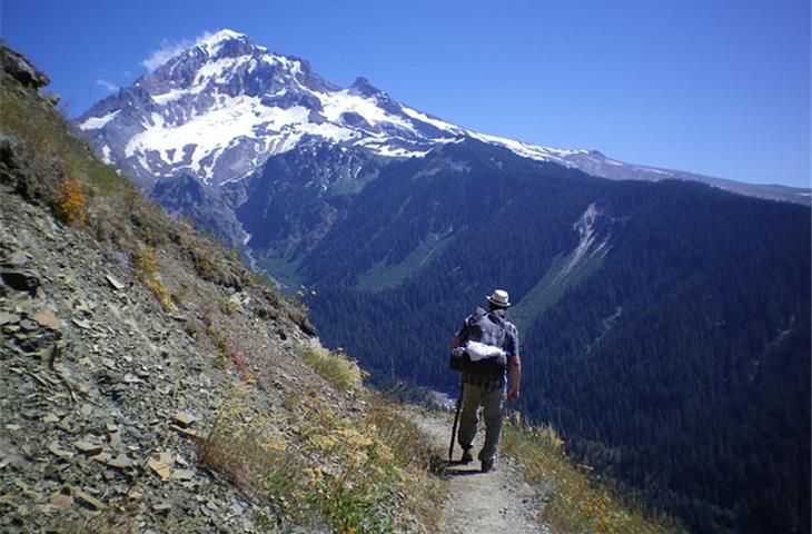 pct chamber for sale