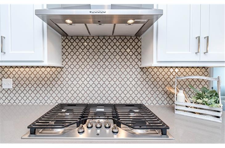 vacuum oven