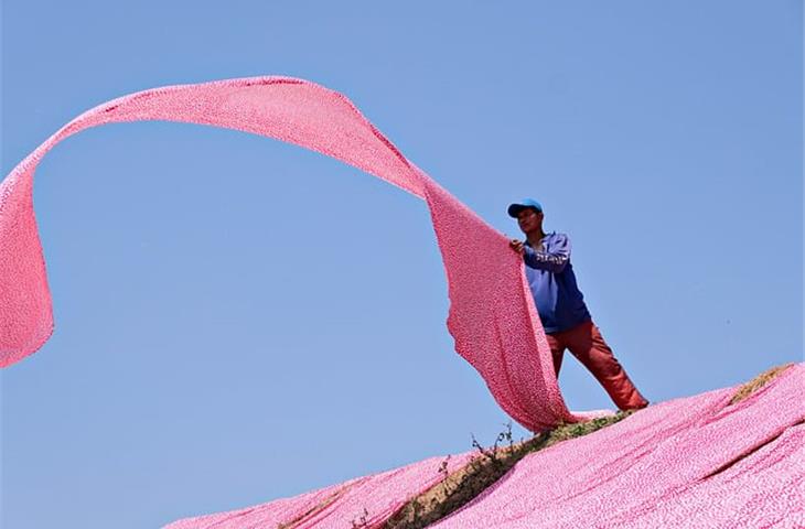 good air-permeability fabric brands