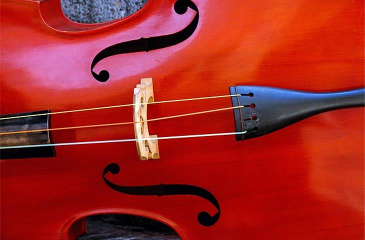 violin strings sound