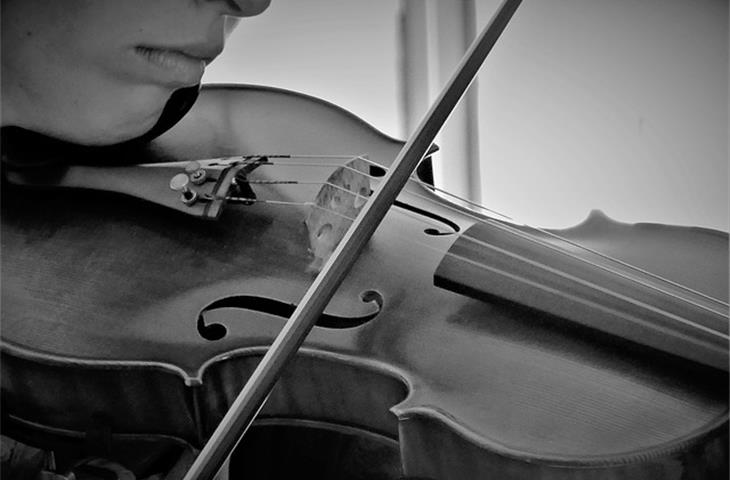 violin strings sound