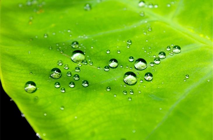 ipx5 waterproof meaning