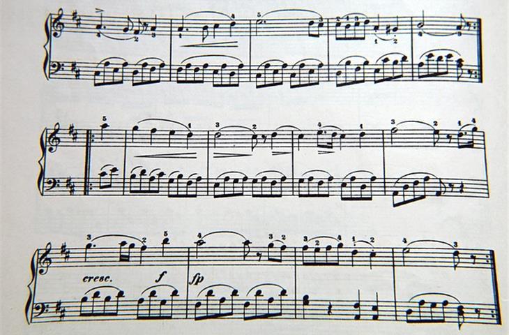 forming sheet