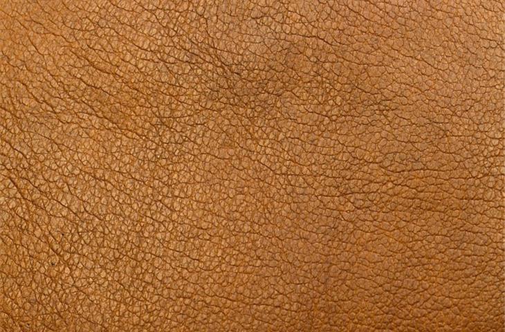 leather water test