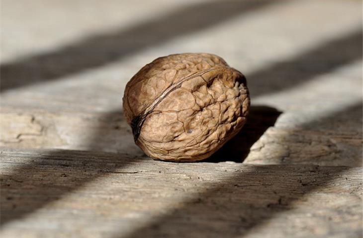 nuts filling machine manual factories quiz