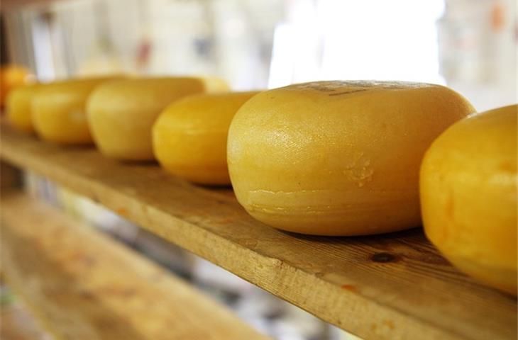 cheese machine vst