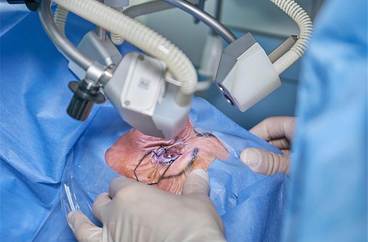 surgery cutting instruments