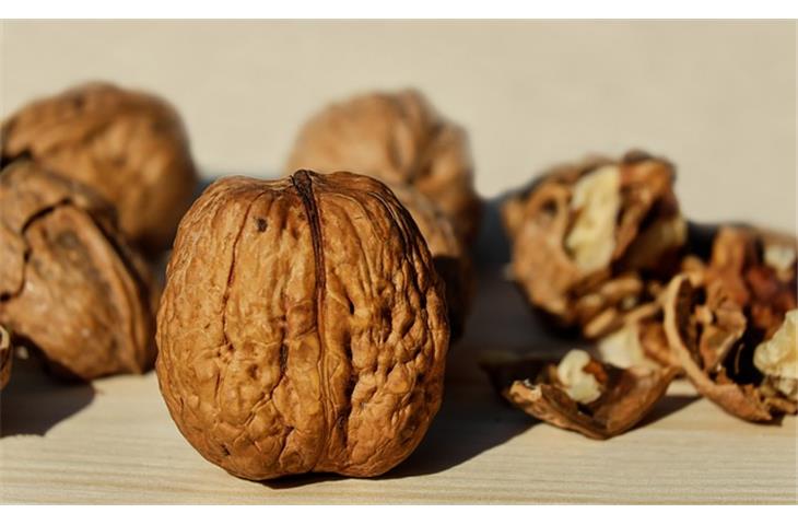 nuts filling machine manual manufacturer tracking