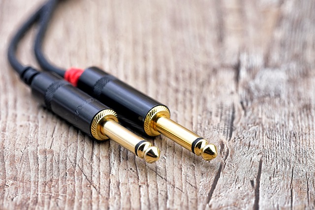 metal spring head audio cable