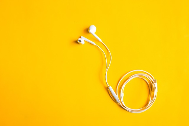 metal spring head audio cable