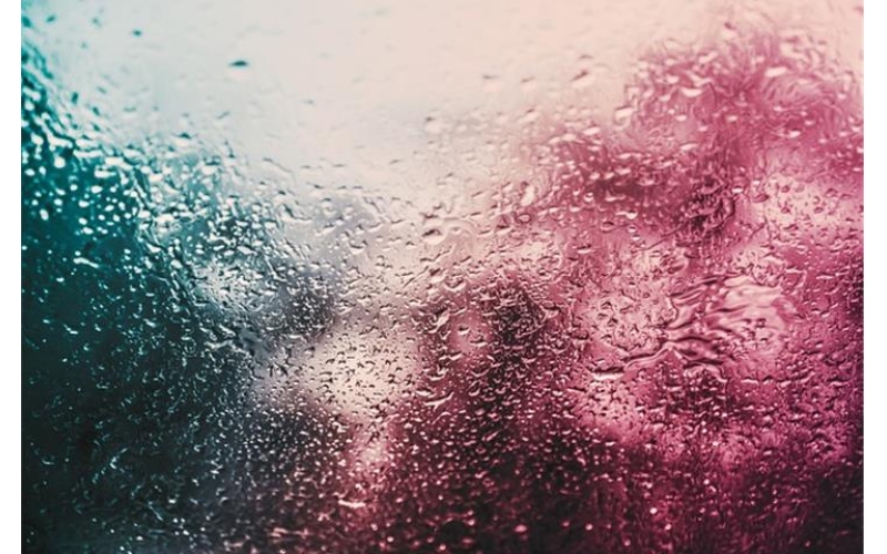 The Comprehensive Guide to Tenney Humidity Test Chambers