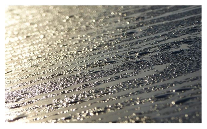Mastering Environmental Chamber Humidity Control