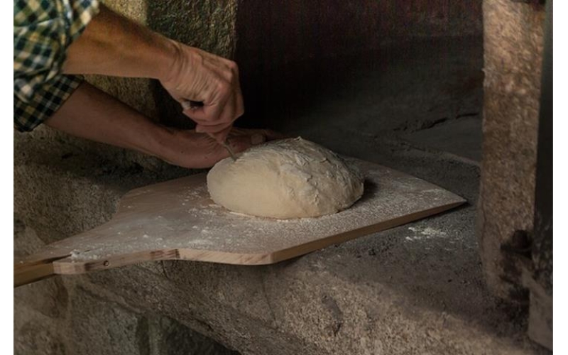 Why Choose the Right Drying Oven Supplier?