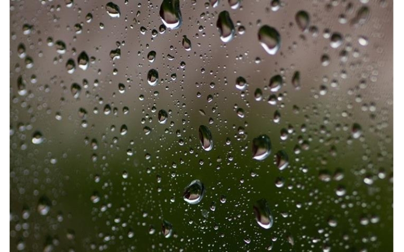 The Essential Guide to Constant Temperature and Humidity Ovens Where