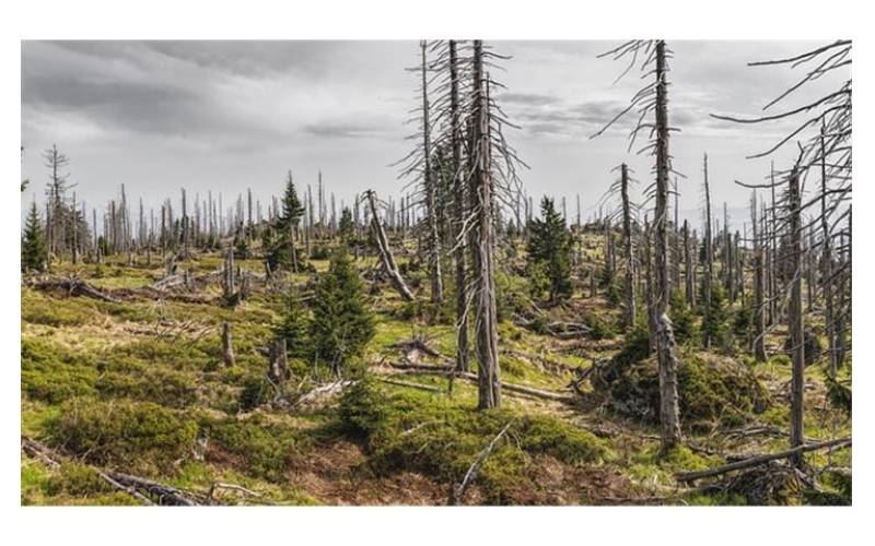 What Environmental Test Chambers Can Offer