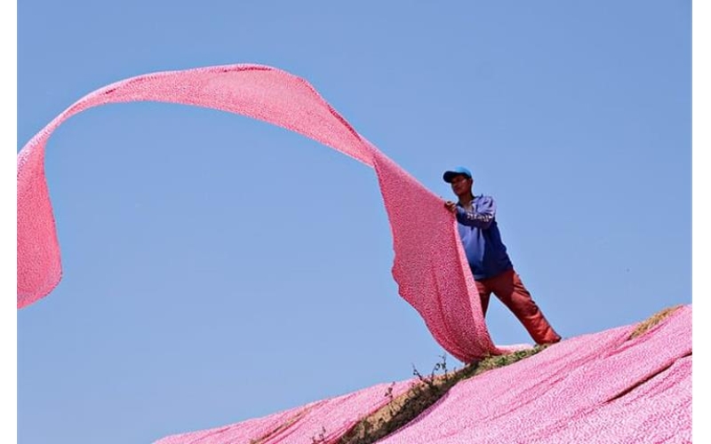 How to Find Top Good Air-Permeability Fabric Suppliers in China