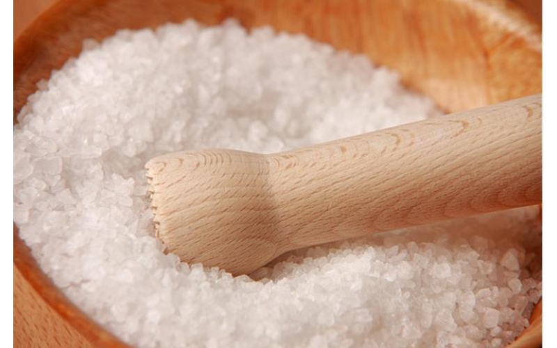 Navigating the World of Salt Spray Chambers Manufacturers