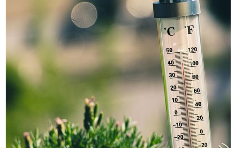 Where Tablets with Infrared Thermometers Excel