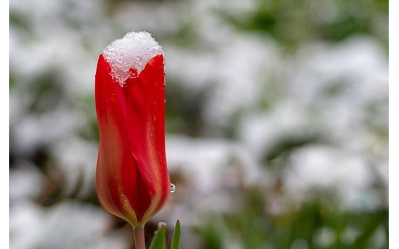 What You Need to Know About Thermal Shock Chamber Defrost