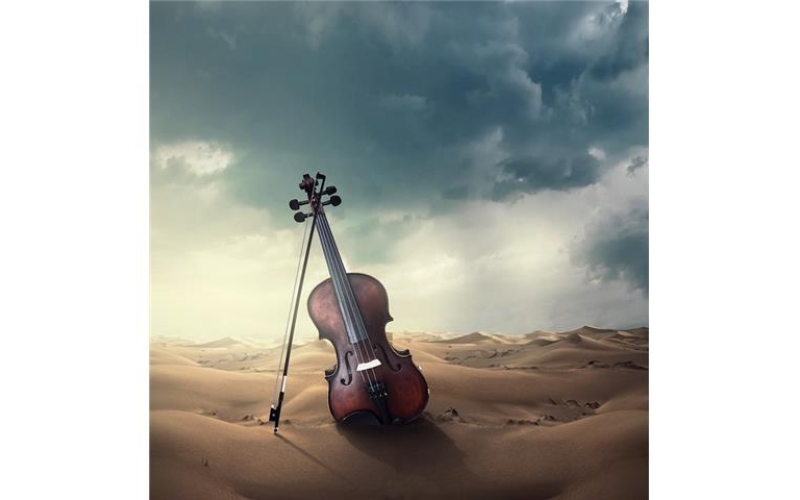 The Melody of Strings: Unveiling the Violin's Sound