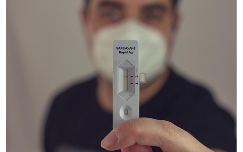 What is the Wyzenbeek Test and Its Importance