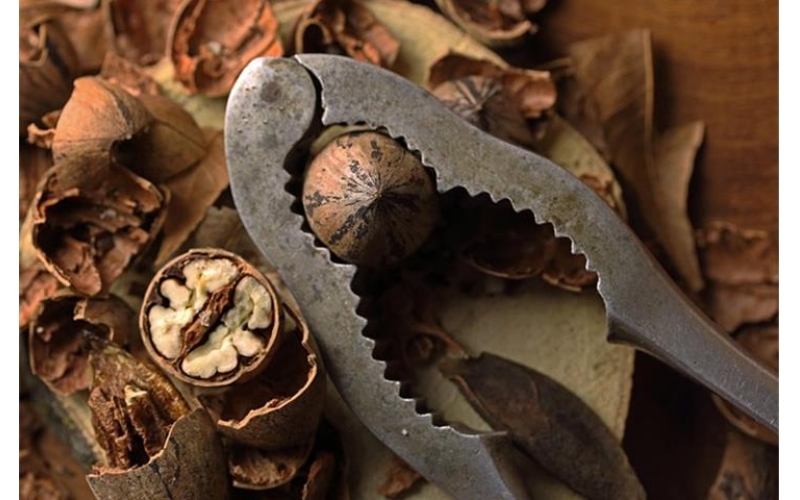 Nuts Filling Machine Manual: German Factories Unveiled