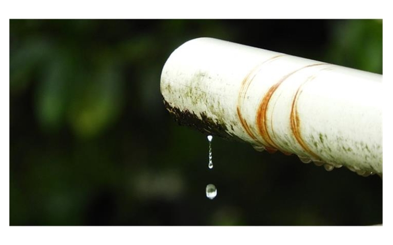 What to Expect from a Packaging Leak Tester Manufacturer