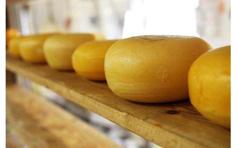 Cheese Machine VST: A Deep Dive into the Virtual Sound Machine