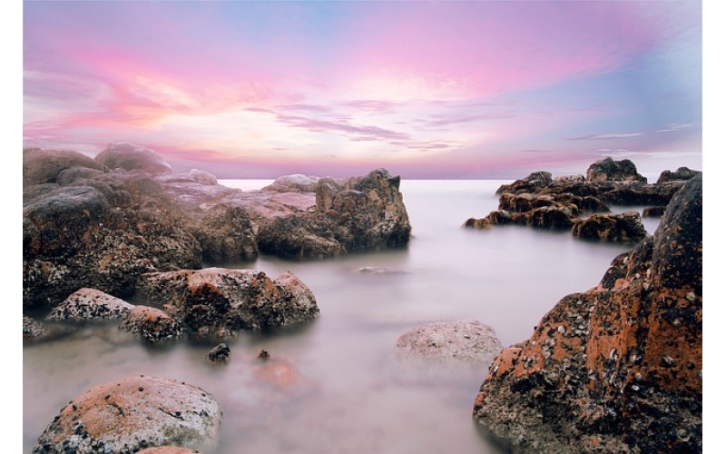 Shore Shore D Compare: A Dive into Coastal Comparisons