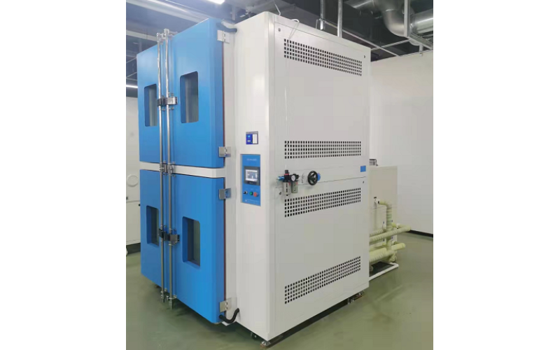 Unlocking the Canine Mind: Research Impulse in Test Dogs